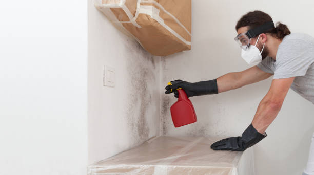 Professional Mold Cleanup technician working in Wake Forest, NC