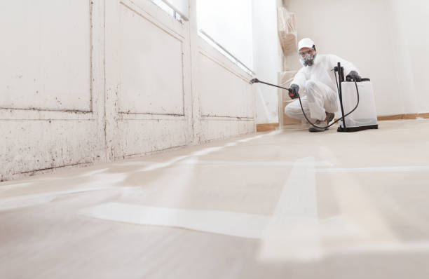 24/7 Emergency Mold Cleanup experts in Wake Forest, NC