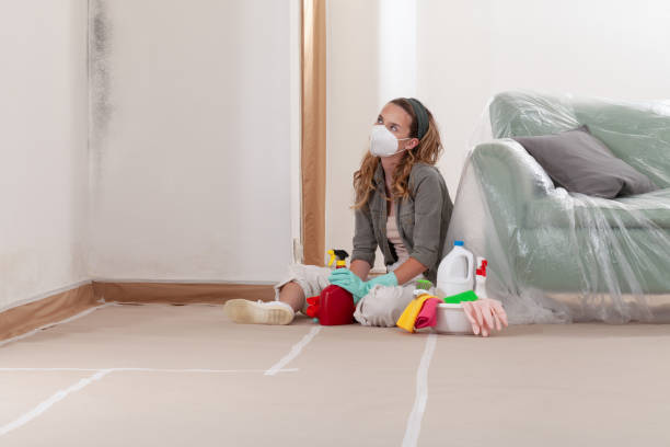 Reliable Mold Cleanup contractor in Wake Forest, NC by Cheap Mold Removal
